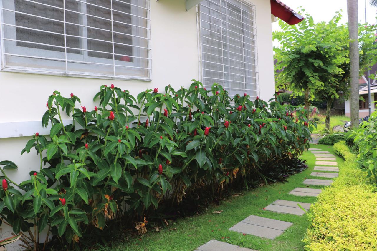 Diyar Villas Puncak M4/12 ภายนอก รูปภาพ